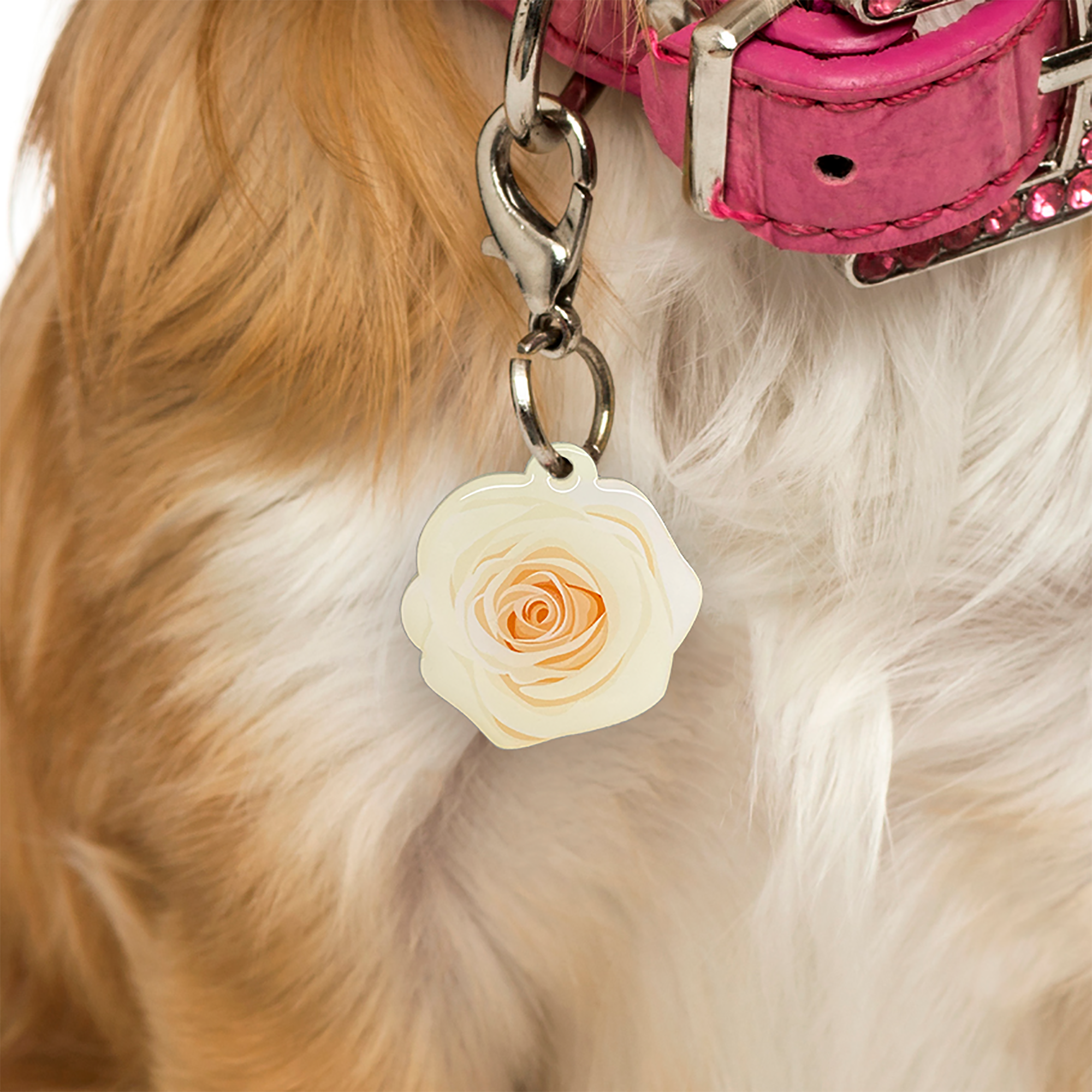 Raspberry Dog Tag Cream Rose Dog ID Tag by Bashtags