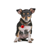 Rose Pet ID Tag Dog Tag | Custom Pet ID Tags by Bashtags®
