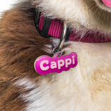 Raspberry Pink Jelly-Bean Font Pet ID Tag by Bashtags