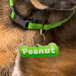 Lime Green Jelly-Bean Font Pet ID Tag by Bashtags