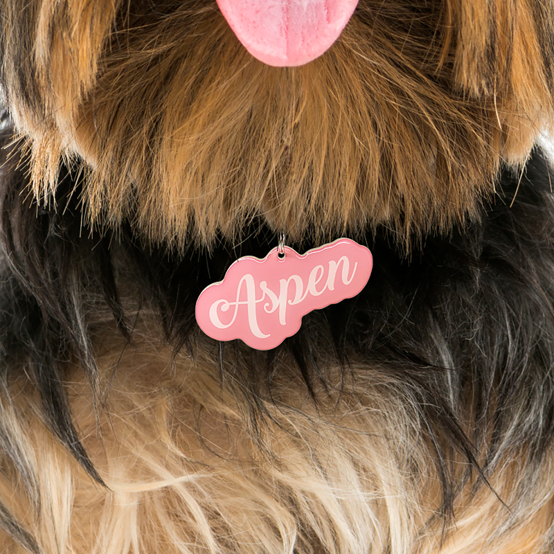 Pastel Pink Love-Script Font - 2x Tags Dog Name Tags by Bashtags