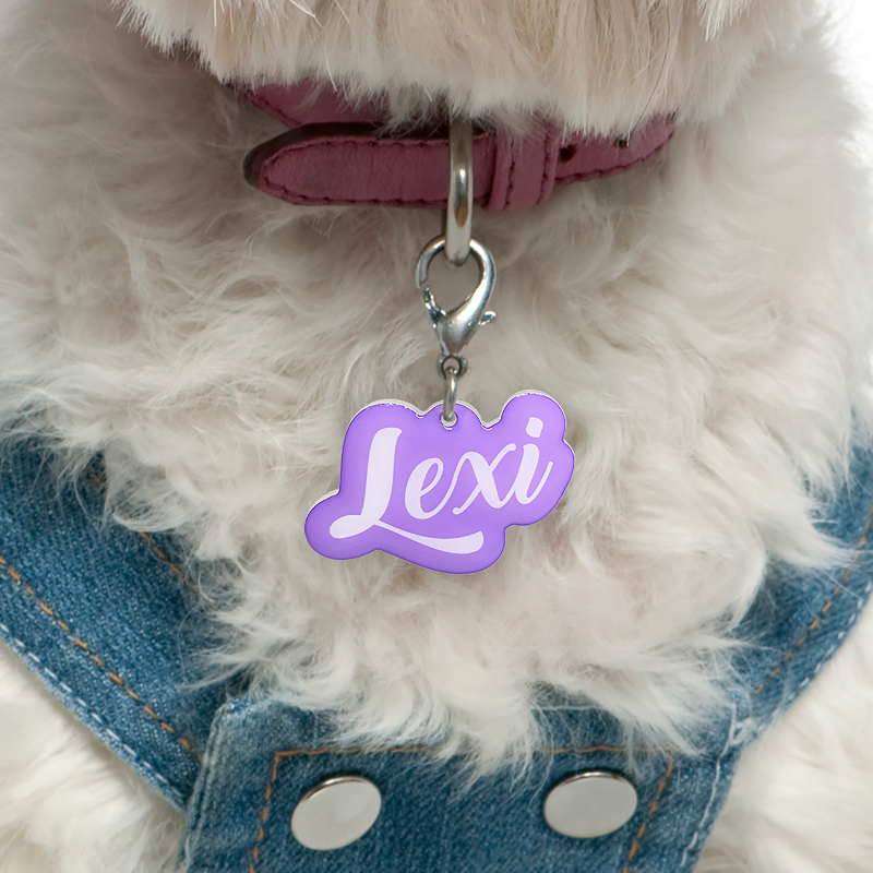 Pastel Violet Love-Script Font - 2x Tags Dog Name Tags by Bashtags