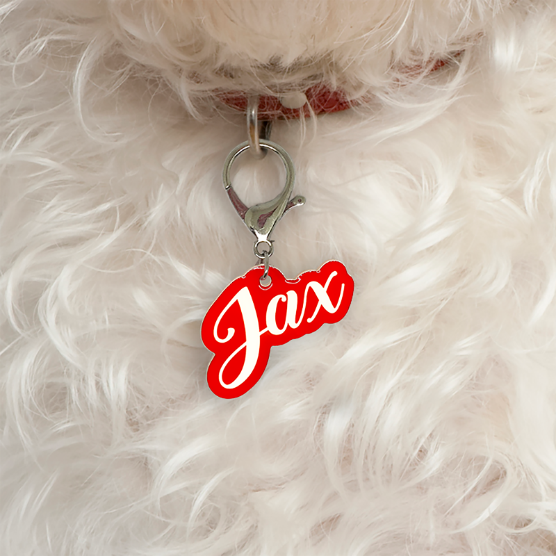Red Love-Script Font Pet ID Tag by Bashtags