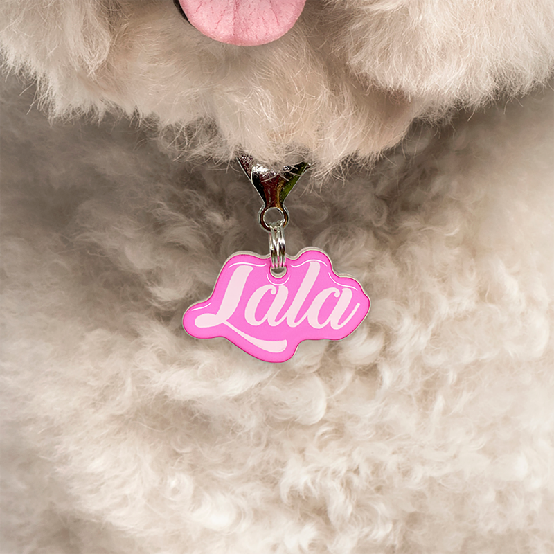 Tickle-Me Pink Love-Script Font Pet ID Tag by Bashtags