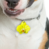 Key Lime Orchid Pet ID Tag Dog Tag | Custom Pet ID Tags by Bashtags®