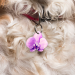 Violet Orchid Pet ID Tag Dog Tag | Custom Pet ID Tags by Bashtags®